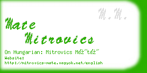 mate mitrovics business card